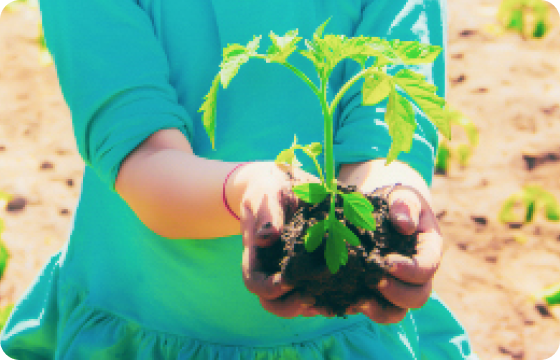 ACF nonprofit alliance
