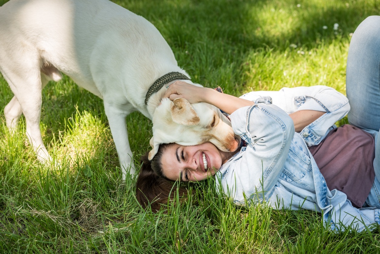 Young divorced woman adopt young dog Labrador Retriever from animal rescue center and gave him love and friendship.