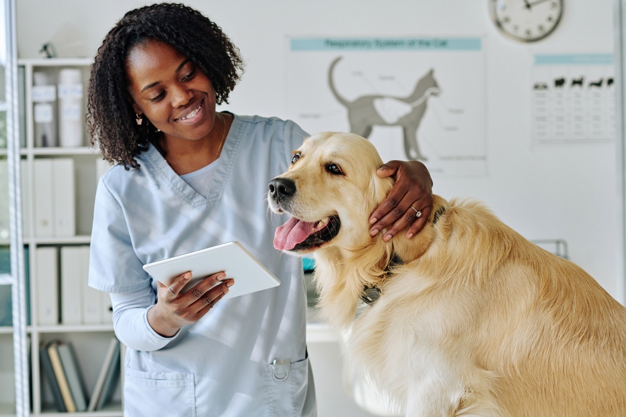 Young vet using digital tablet while communicating with dog at office